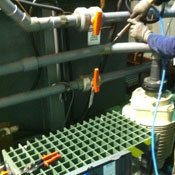 Plastic Welding Wilmette